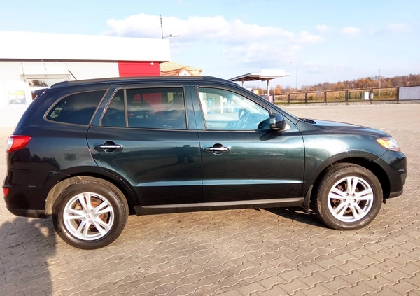 Hyundai Santa Fe cena 41900 przebieg: 176436, rok produkcji 2011 z Oleśnica małe 121